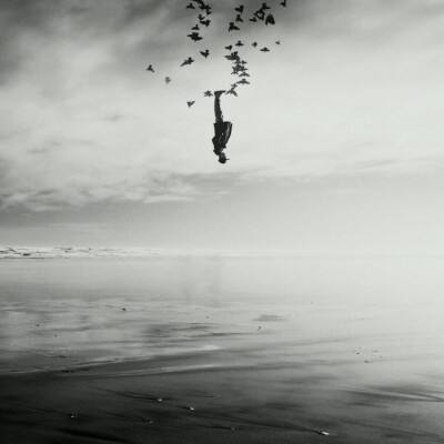 半岛手机网页版