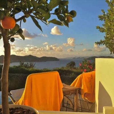 澳门威斯人手机app下载