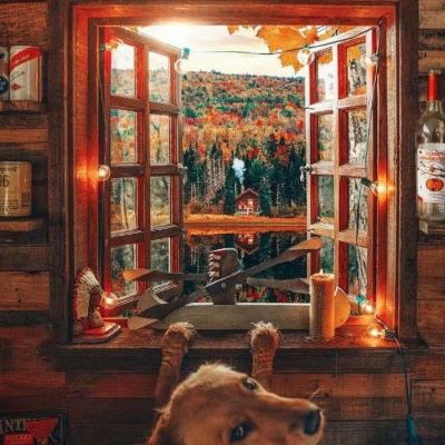 ag真人国际官网