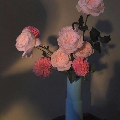 半岛手机网页版